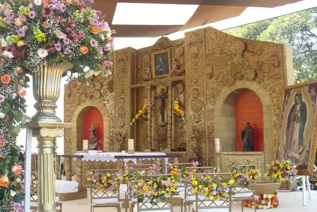Decoración y Flores — Avanzzati, Ciudad de México