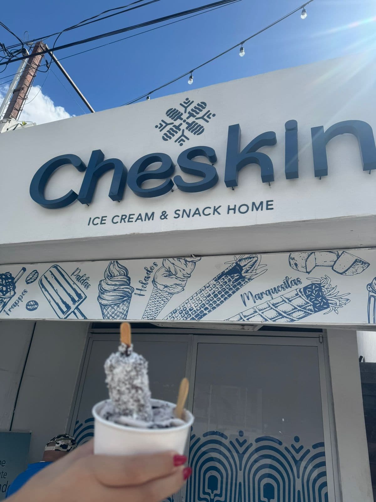 CHESKIN SERVICIOS 2