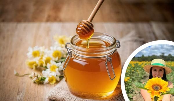 Espiritu Aventurero 5