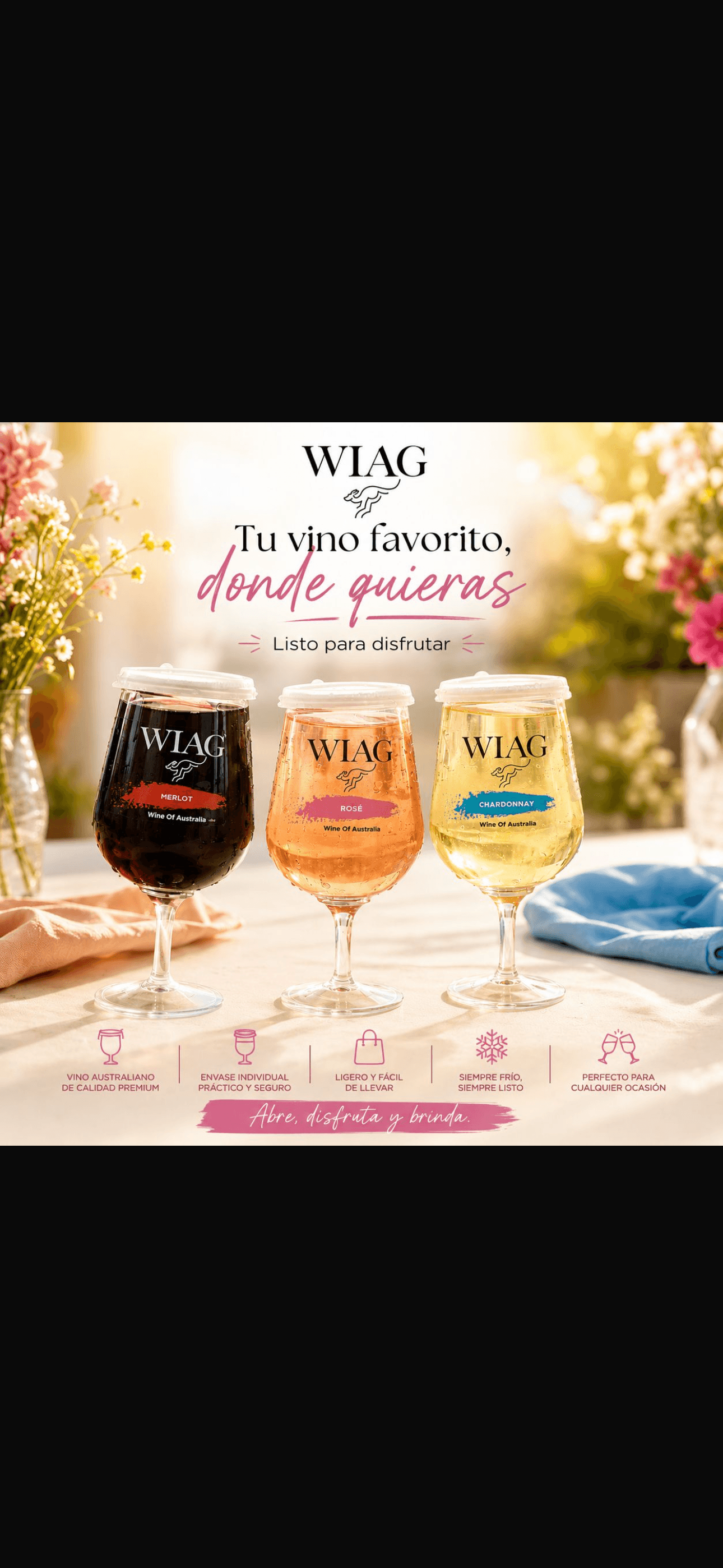 WIAG Vino en Copa — Catering en Guadalajara