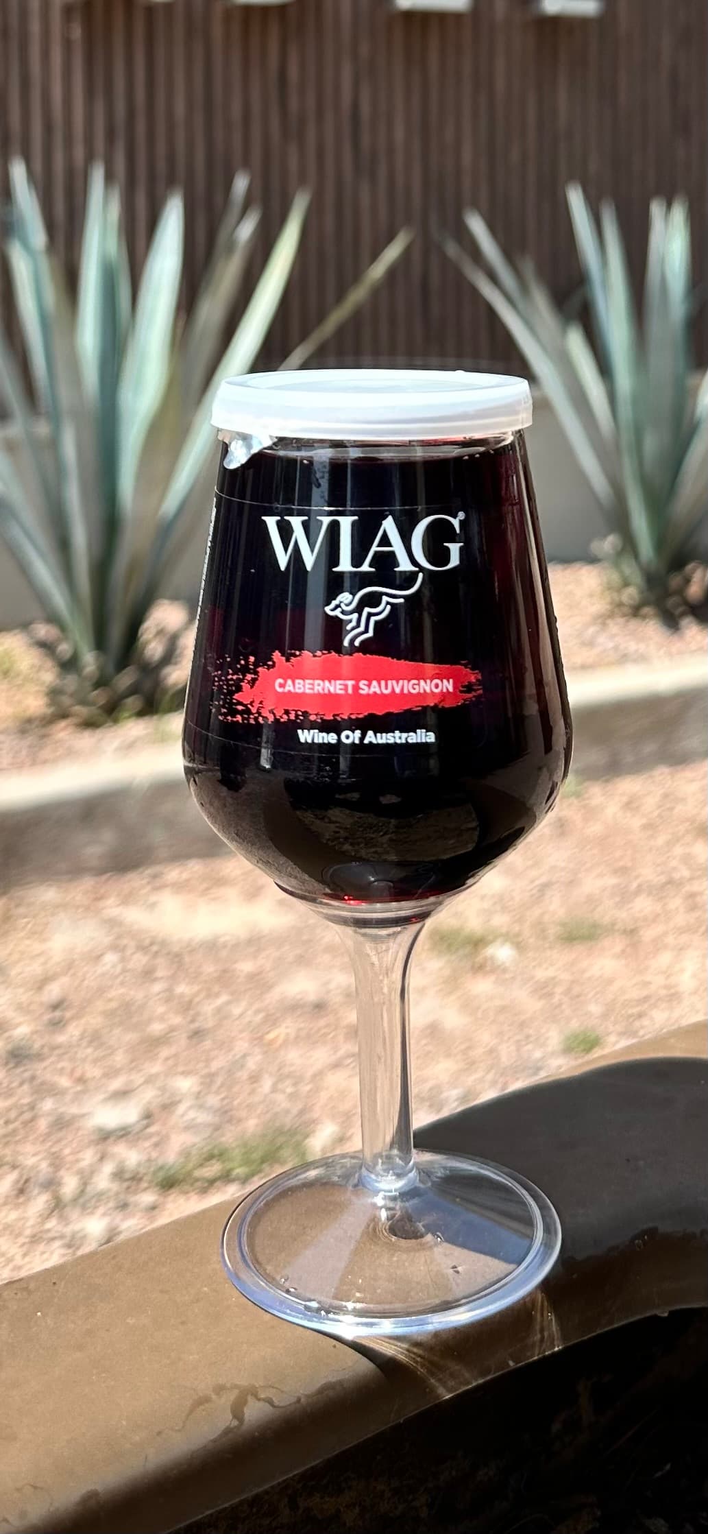 WIAG Vino en Copa — Catering en Guadalajara · foto 2
