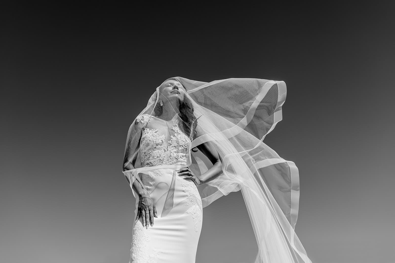 Timeless Photography & Cinematography
