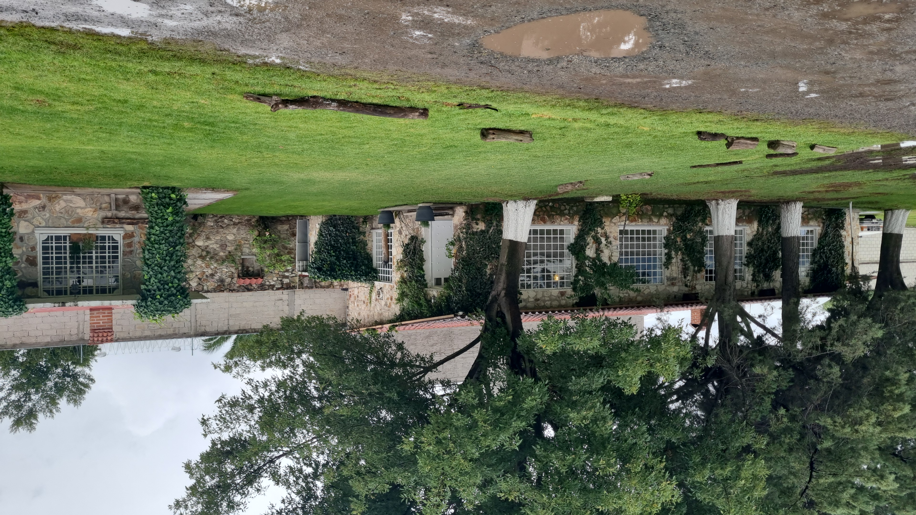 Salon Campestre Los Fresnos — Venues en Mineral de la Reforma · foto 3