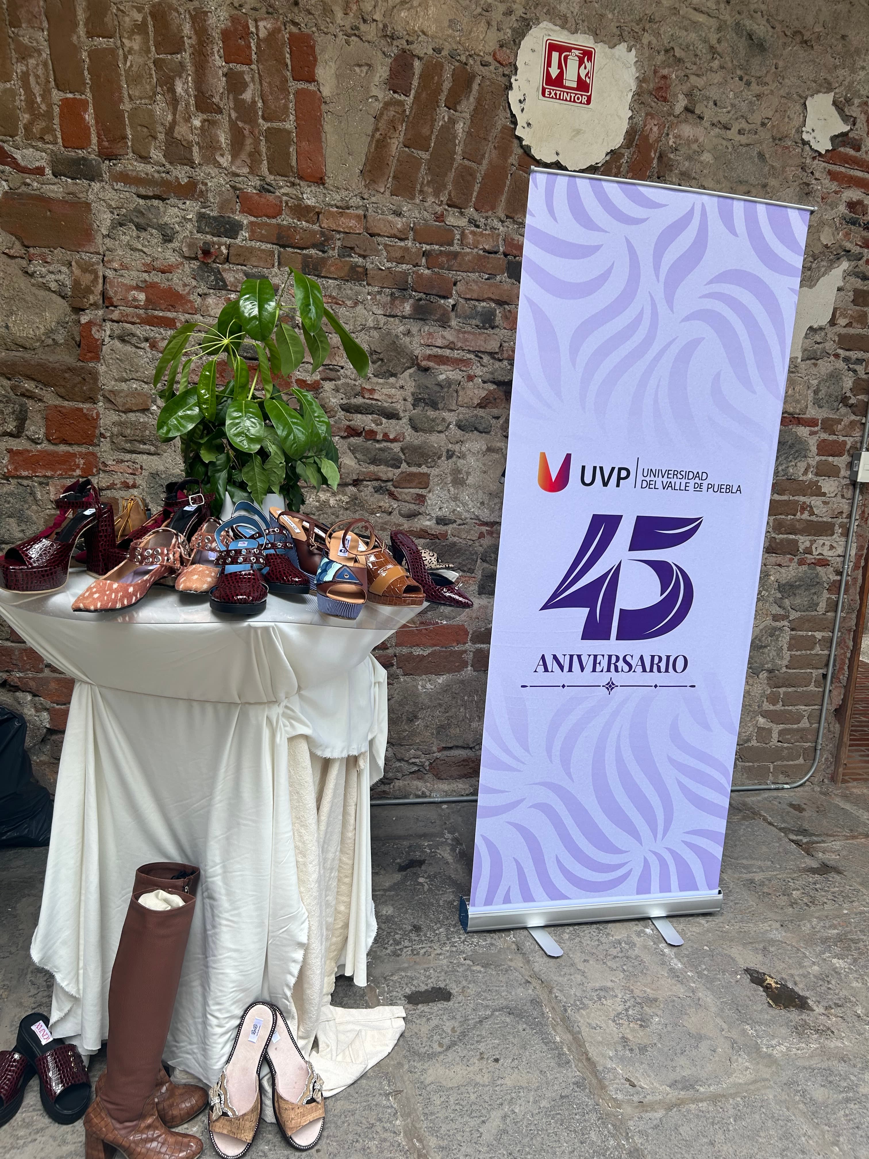 Textil Santo Domingo 2