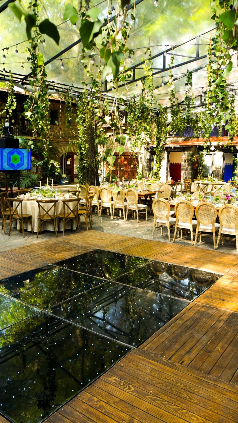 Bauhaus Producciones 5